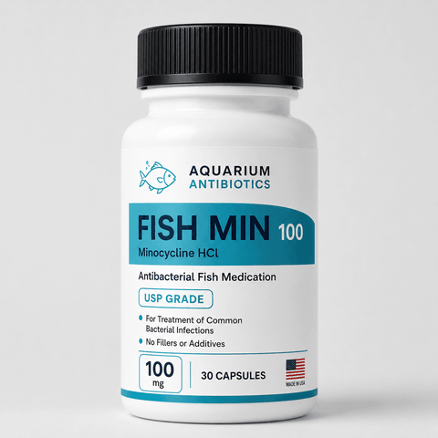 Fish Minocycline 100 mg — 30 Capsules.