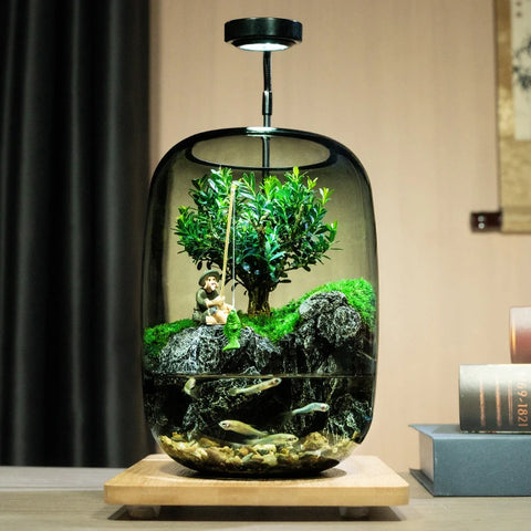 Micro-Landscape Glass Aquarium — Modern Display Tank