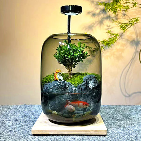 Ecological Glass Aquarium with Timer Light